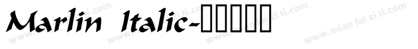 Marlin Italic字体转换
